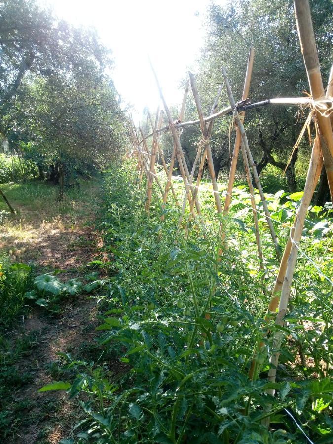 Az.Agricola Agriturismo La Locanda Di Lann Apartamento Fucecchio Exterior foto
