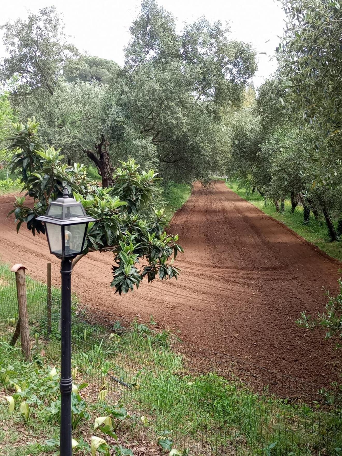 Az.Agricola Agriturismo La Locanda Di Lann Apartamento Fucecchio Exterior foto